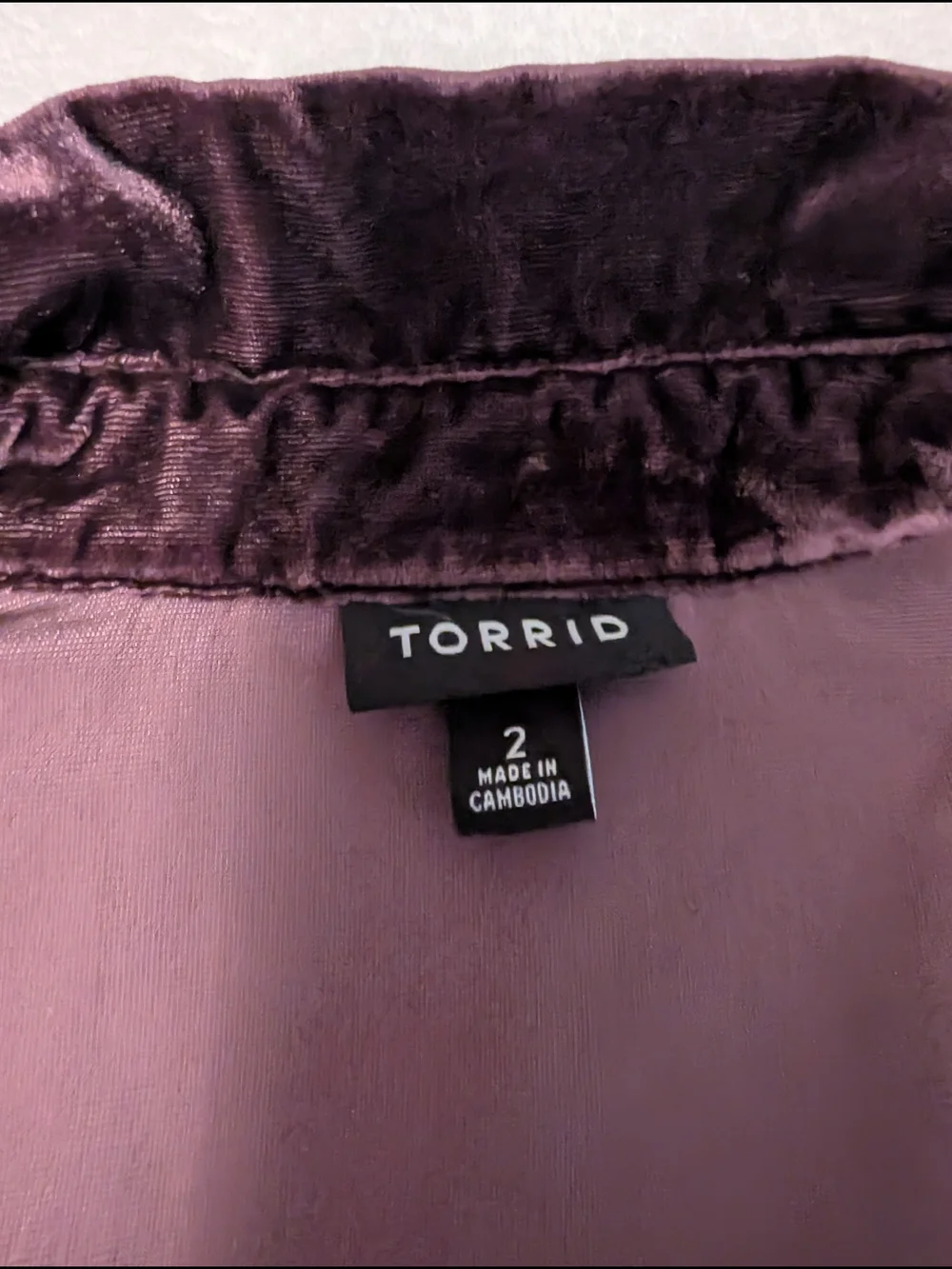 torrid Plush Velvet Collared Top in Plum - Picture 3 of 3